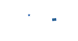 European elections (22-25 May 2014)